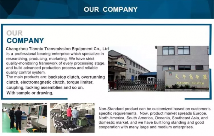 GV50 Защитный сцепление перегружающее сцепление однонаправленное роликовое подшипник сцепления 7