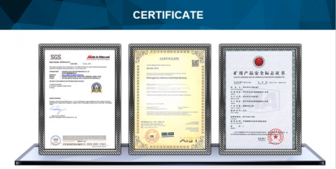 GV50 Защитный сцепление перегружающее сцепление однонаправленное роликовое подшипник сцепления 10