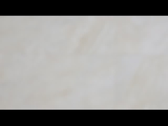 Одна муфта кулачка пути нося Backstop подшашки серии BB Freewheel муфта